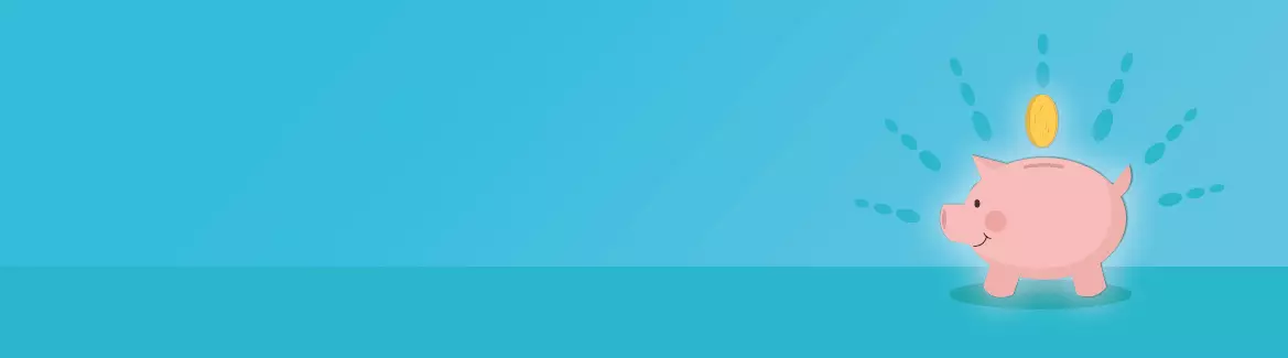 A background image of a piggie bank to indicate pricing